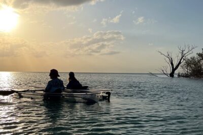 Sunset and Glow Clear Kayak Tour in North Naples - The Clear Kayak Magic: LED Lights to See What’s Below