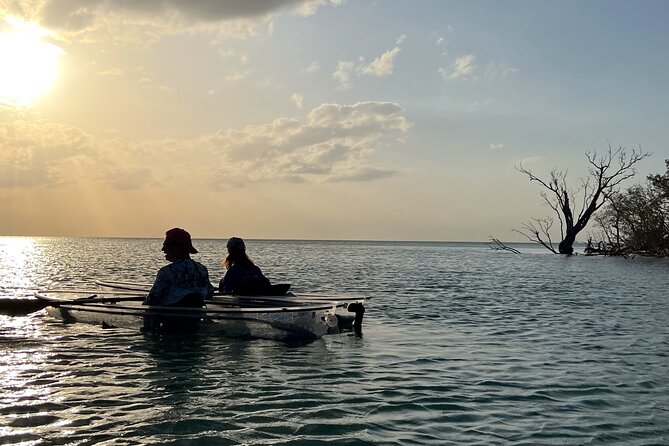 Sunset and Glow Clear Kayak Tour in North Naples - The Clear Kayak Magic: LED Lights to See What’s Below