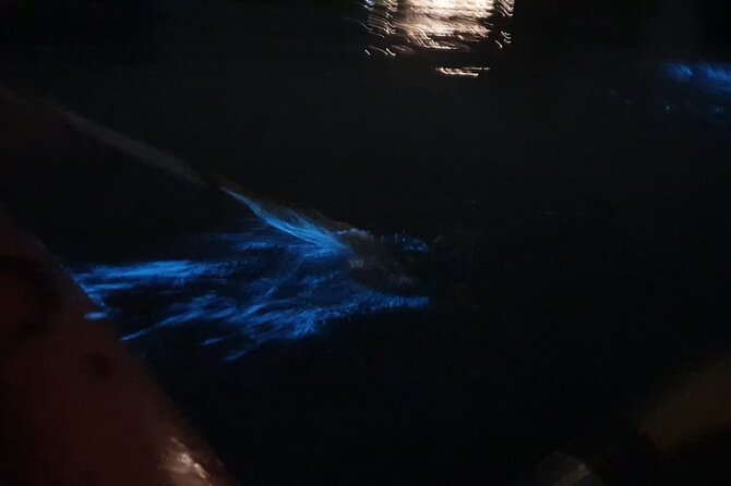 Sunset & Bioluminescent Plankton Kayaking Lan Ha bay - Lan Ha Bay at dusk: why this tour makes the plankton actually happen