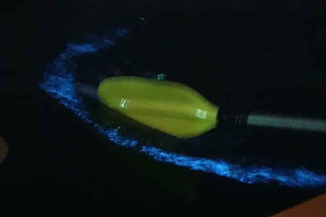 Sunset & Bioluminescent Plankton Kayaking Lan Ha bay - Cai Beo floating village to Van Boi: sunset cruising plus BBQ dinner