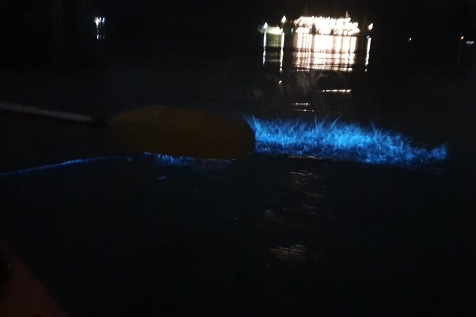Sunset & Bioluminescent Plankton Kayaking Lan Ha bay - Who should book this Lan Ha Bay plankton kayaking tour?