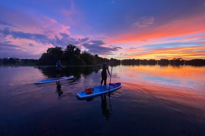 Sunset Clear Kayak or Paddleboard in Orlando - Key points before you go