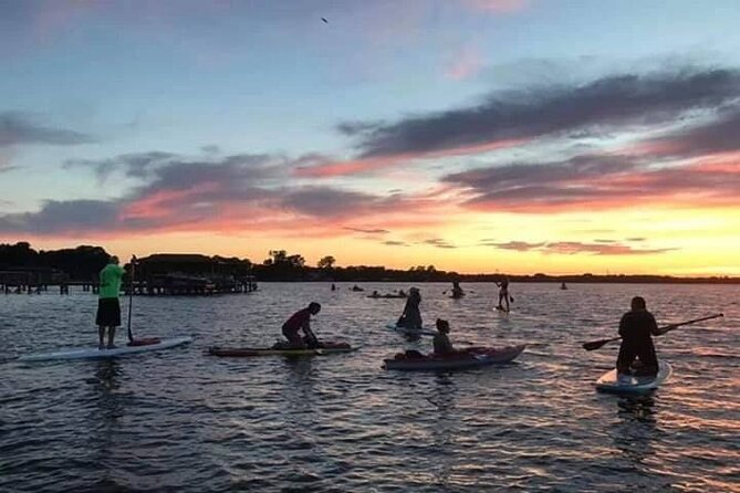 Sunset Clear Kayak or Paddleboard in Orlando - Gator-free water and the wildlife moment you might notice