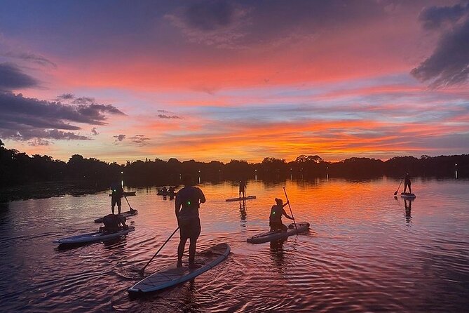 Sunset Clear Kayak or Paddleboard in Orlando - Can you actually swim? The water’s clear enough to make it tempting