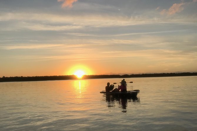 Sunset Clear Kayak Tour - Wildlife spotting that doesn’t feel like luck