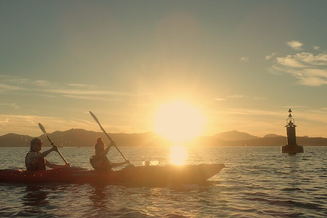 Sunset Dolphin Kayak Tour at Golfo Aranci - Key Points You’ll Care About