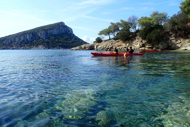 Sunset Dolphin Kayak Tour at Golfo Aranci - Kayaking the Dolphin Hotspot of Golfo Aranci at Sunset