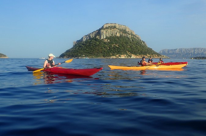 Sunset Dolphin Kayak Tour at Golfo Aranci - Beginner and Family Friendly, Without the Babying