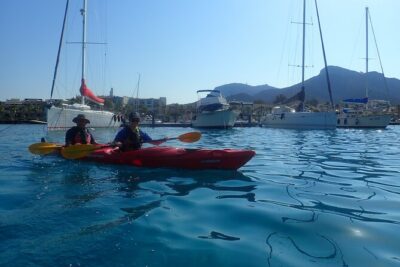 Sunset Dolphin Kayak Tour at Golfo Aranci - Your 3-Hour Plan: Figarolo, Carla Moresca, and Dolphin Time