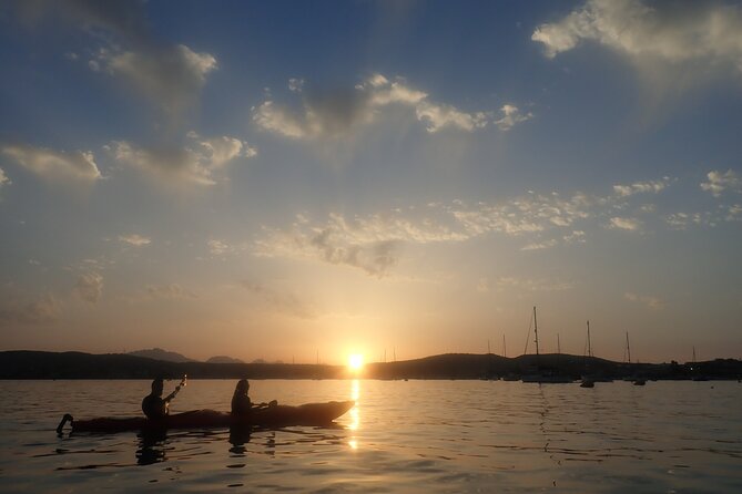 Sunset Dolphin Kayak Tour at Golfo Aranci - Small Group Size (8 Max) and Why That Changes the Mood