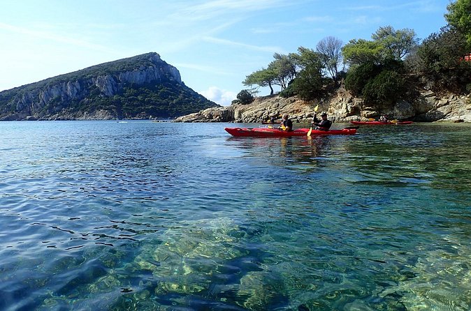Sunset Dolphin Kayak Tour at Golfo Aranci - Price and Value: Is $63.61 a Good Deal?