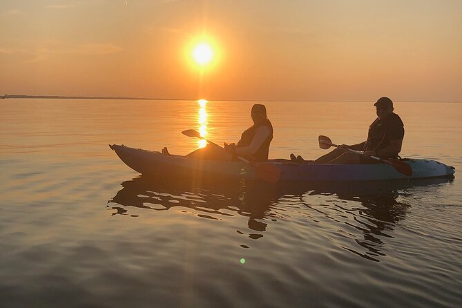 Sunset Dolphin Kayak Tours - Paddling Skills You Actually Need (And the Skills You Don’t)