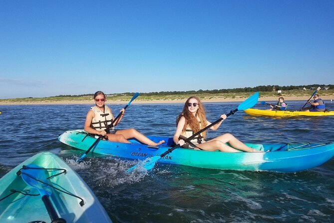 Sunset Dolphin Kayak Tours - What You’ll Pay (and the Real Value Math)
