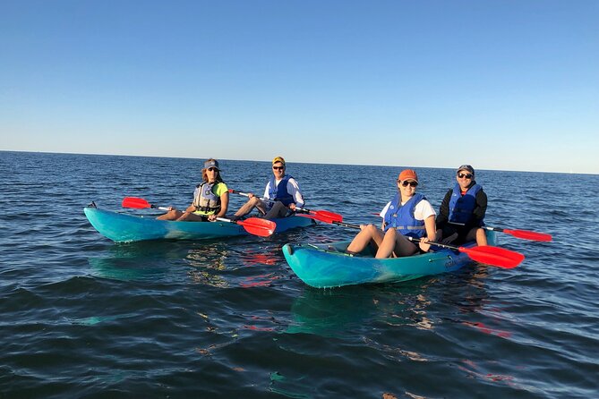 Sunset Dolphin Kayak Tours - Best Fit: Who Should Book This Dolphin Kayak Sunset Tour