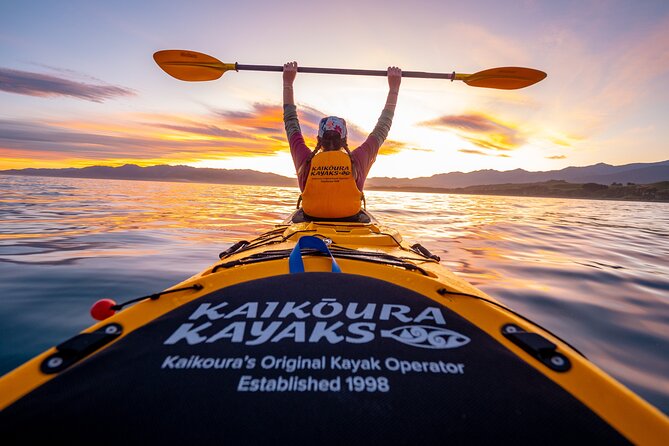 Sunset Evening Kayaking Tour - Kaikoura - Sunset Kayaking on the Kaikōura Peninsula: Why This Timing Matters
