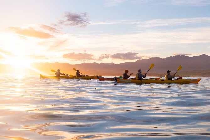 Sunset Evening Kayaking Tour - Kaikoura - Stop 2: Peninsula Seal Colony and the Real Meaning of “Guaranteed”