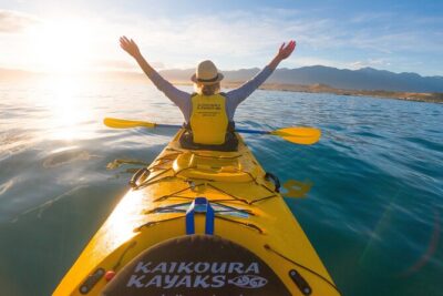 Sunset Evening Kayaking Tour - Kaikoura - Stop 1: Kaikōura Peninsula Walkway Sets the Stage for Wildlife Spotting