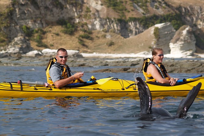 Sunset Evening Kayaking Tour - Kaikoura - Riding the Waves: Clothing and Comfort Tips That Matter at Dusk