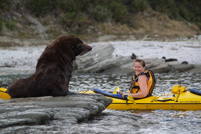 Sunset Evening Kayaking Tour - Kaikoura - How the Tour Runs on the Clock (and What to Expect from the Flow)