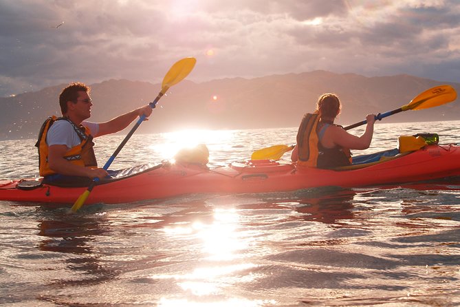 Sunset Evening Kayaking Tour - Kaikoura - Who Should Book This Sunset Evening Kayaking Tour?