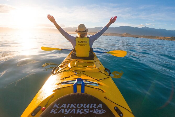 Sunset Evening Kayaking Tour - Kaikoura - Stop 1: Kaikōura Peninsula Walkway Sets the Stage for Wildlife Spotting