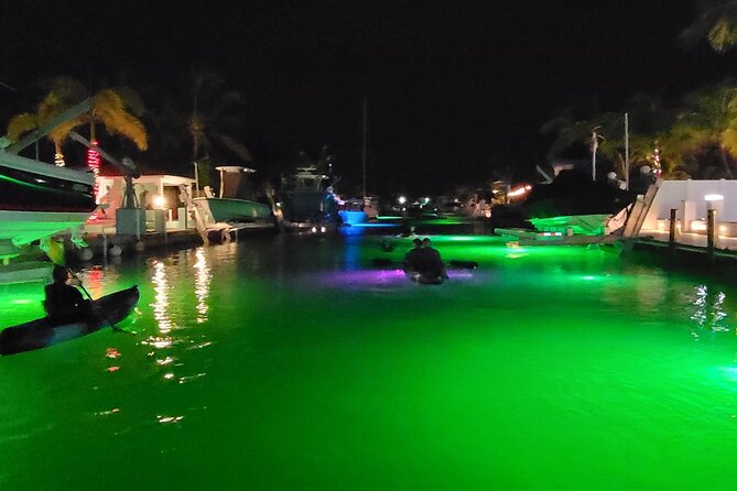 Sunset Kayak Adventure with Enchanting Underwater Lights - Quick highlights