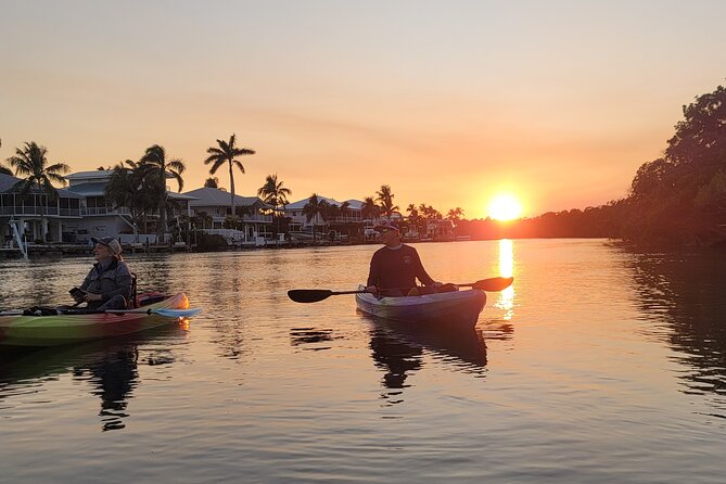 Sunset Kayak Adventure with Enchanting Underwater Lights - Sunset to Tavernier Creek: How the Trip Actually Unfolds