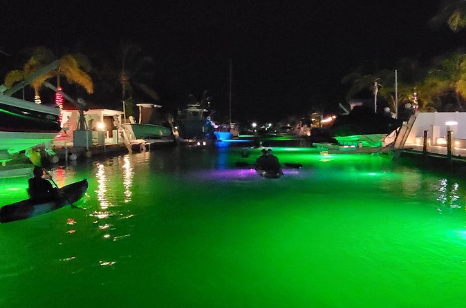 Sunset Kayak Adventure with Enchanting Underwater Lights - Kayaks, Life Vests, and the Small-Group Advantage