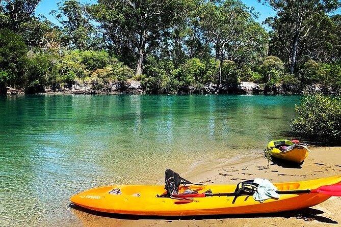 Sunset Kayak Eco Tour with Marine Scientist - Marine scientist-led spotting: stingrays, hermit crabs, and birdlife