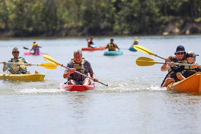 Sunset Kayak Eco Tour with Marine Scientist - Paddling coaching that works for beginners (and improves form)
