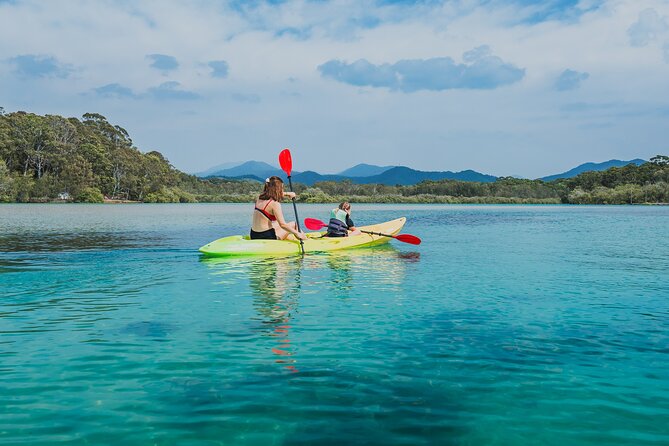 Sunset Kayak Eco Tour with Marine Scientist - Yabbying and Indigenous fish traps: hands-on learning that kids remember