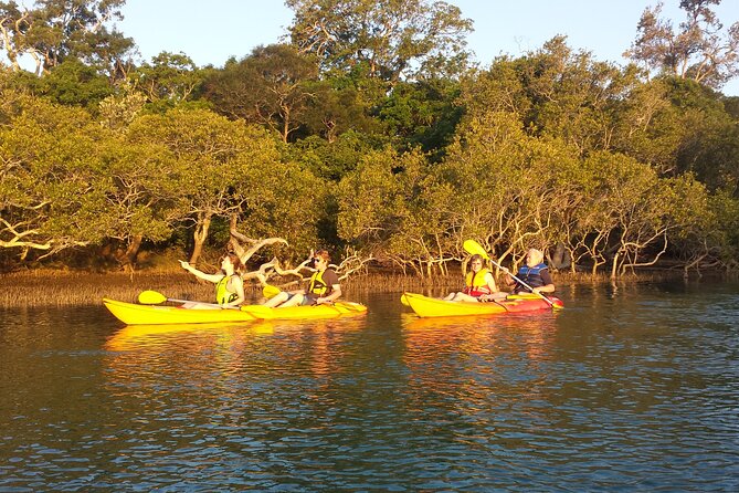 Sunset Kayak Eco Tour with Marine Scientist - Weather, comfort, and what the sunset timing means