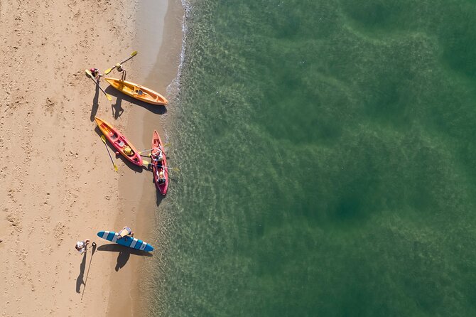 Sunset Kayak Eco Tour with Marine Scientist - Should you book this sunset kayak eco tour?