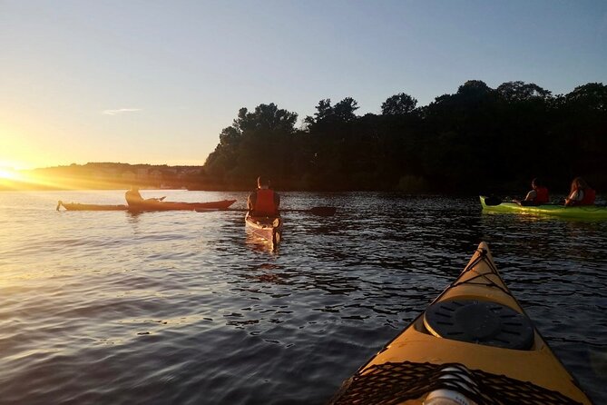 Sunset Kayak Tour in Central Stockholm and Swedish Fika - Why this sunset kayak feels different in Stockholm