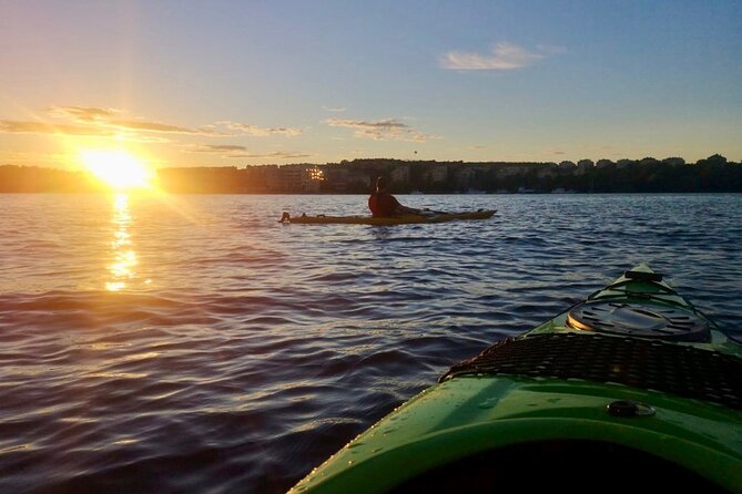 Sunset Kayak Tour in Central Stockholm and Swedish Fika - Comfort, waves, and who should book this