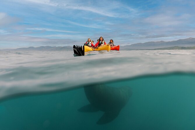 Sunset Kayak tour in Kaikoura - The guide factor: how Connor’s style improves your time on the water