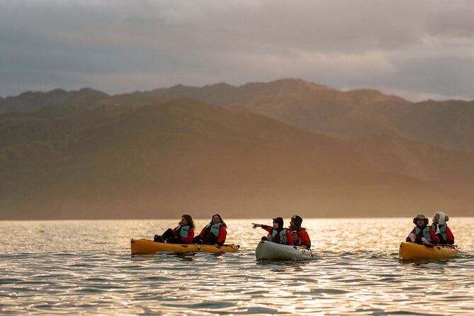 Sunset Kayak tour in Kaikoura - Timing, pacing, and what the 3 hours really feel like