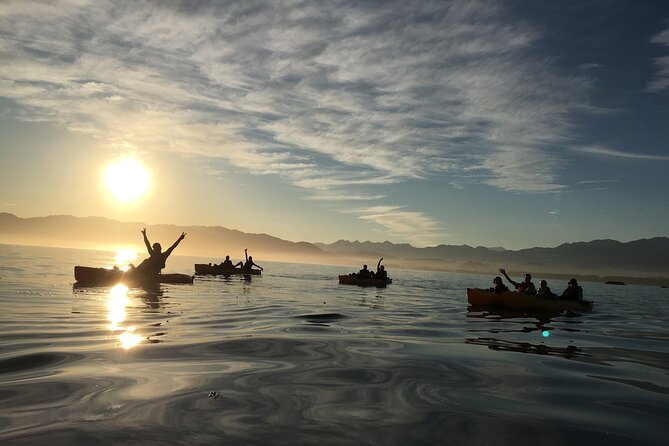 Sunset Kayak tour in Kaikoura - Price and value: is about €71.53 per person worth it?