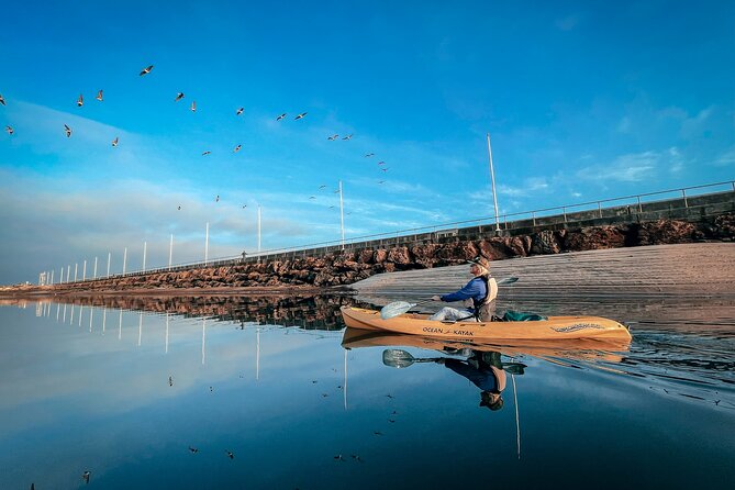 Sunset Kayak Tour in Santa Barbara Harbor (2 Hours) - Why Santa Barbara Harbor at sunset feels different
