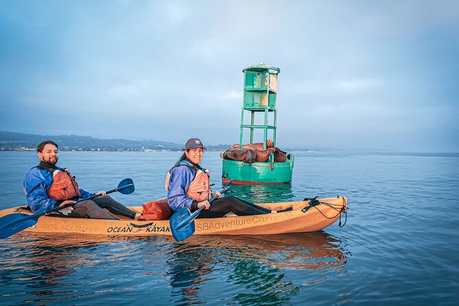 Sunset Kayak Tour in Santa Barbara Harbor (2 Hours) - Who this tour is best for (and who should think twice)