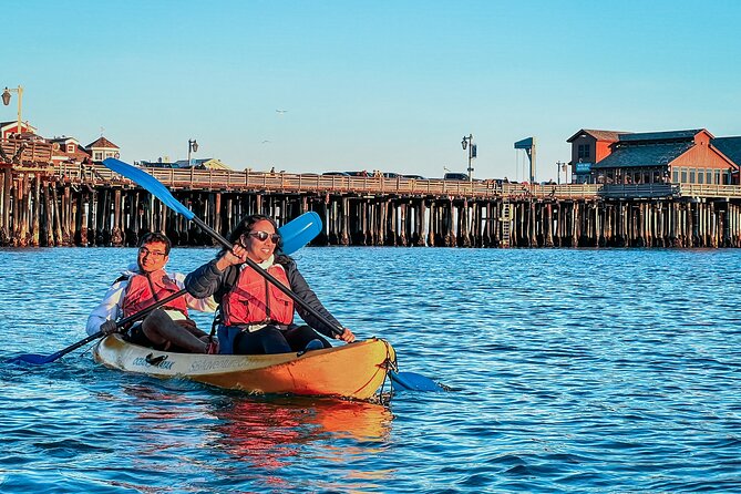 Sunset Kayak Tour in Santa Barbara Harbor (2 Hours) - Stearns Wharf from the water: up close, low, and oddly thrilling
