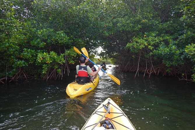 Sunset Kayak Tour in the Mangrove Lagoon, St Thomas - Key things to know before you go