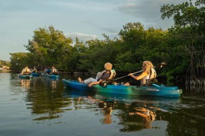 Sunset Kayak Tour in the Mangrove Lagoon, St Thomas - Your 90-minute paddle: mangrove channels to Bird Island and Bovoni Cay