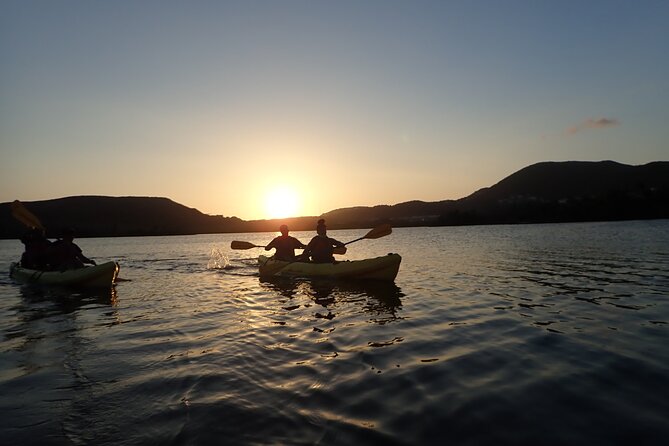 Sunset Kayak Tour in the Mangrove Lagoon, St Thomas - Marine reserve wildlife: stingrays, nesting trees, and calm-water moments