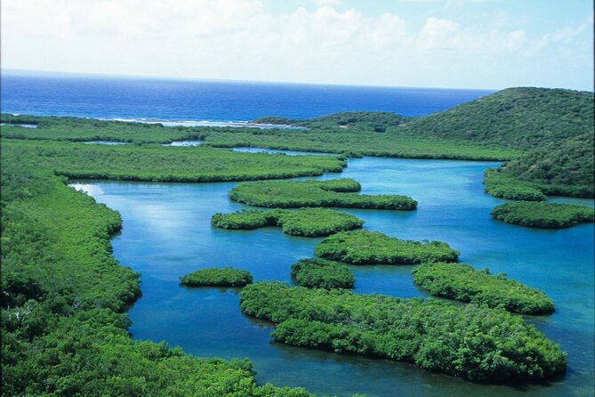Sunset Kayak Tour in the Mangrove Lagoon, St Thomas - The guides make the experience feel personal (Perez, Swish, Freddie, and Zack)