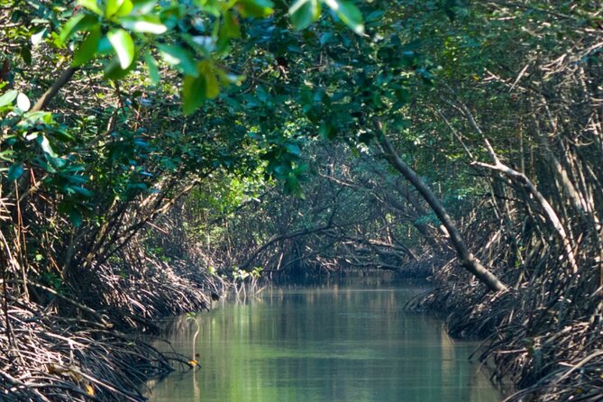 Sunset Kayak Tour in the Mangrove Lagoon, St Thomas - After the kayak: returning to the marina and grabbing a bite