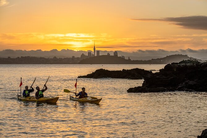 Sunset kayak tour to Rangitoto Island - The 4:00 pm Start: Picking Up in Parnell and Getting Ready
