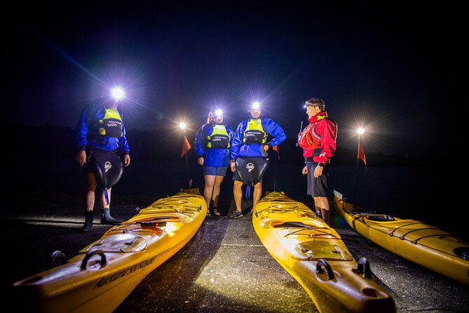 Sunset kayak tour to Rangitoto Island - Rangitoto Landing and the Summit Hike: Views With a Workout Edge