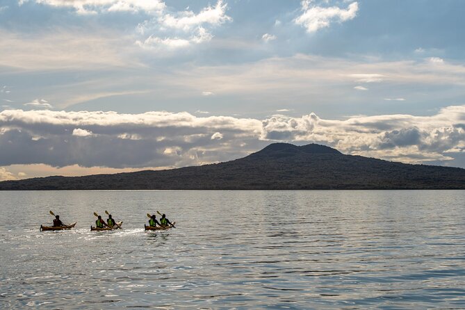 Sunset kayak tour to Rangitoto Island - Kiwi BBQ Dinner and Coffee: How the Meal Fits the Adventure