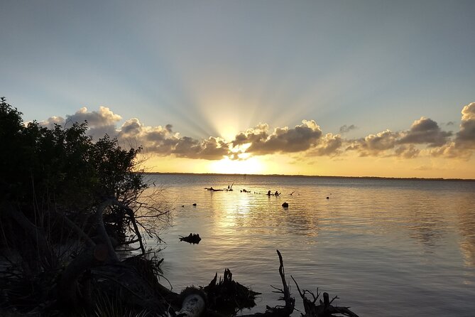 Sunset kayaking tour at Manatee Cove with Manatee & Dolphin sightings - Key Points You’ll Care About